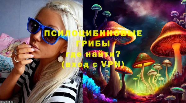 ECSTASY Гусь-Хрустальный