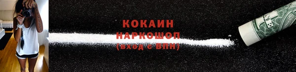 ECSTASY Гусь-Хрустальный