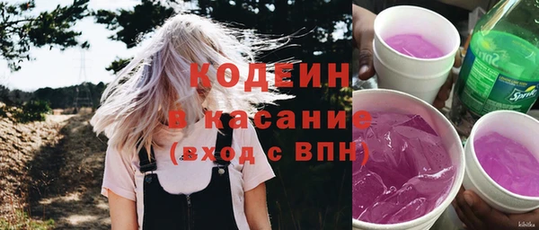 ECSTASY Гусь-Хрустальный