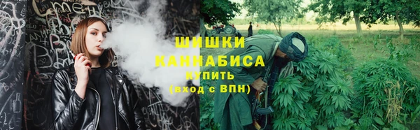 ECSTASY Гусь-Хрустальный