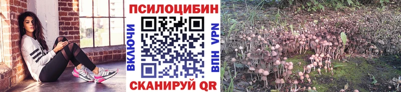 Галлюциногенные грибы мухоморы  Купить где  Костомукша 