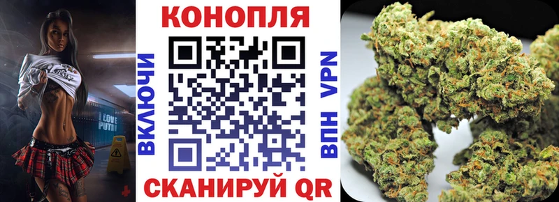 Канабис OG Kush  Купить  Костомукша 